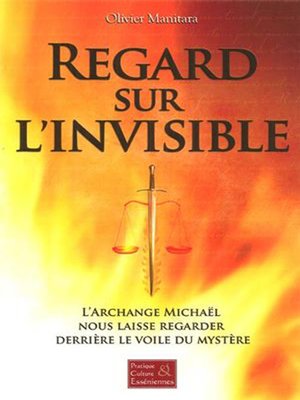 cover image of Regard sur l'invisible